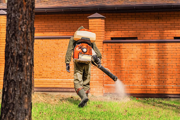 Trusted Bed Bug Control service in Pinedale, WY - Nex Pest Control